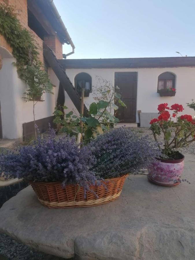 Отель Casa Huber Carta  Экстерьер фото